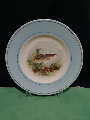 Buy Woods Ivory Ware. Salmon Trout Fish. Entree Plate. (23cm). Made In England. • 8.55£