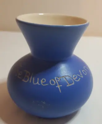 Buy Devonware Blue & White  Ceramic Vase  The Blue Of Devon  • 4£