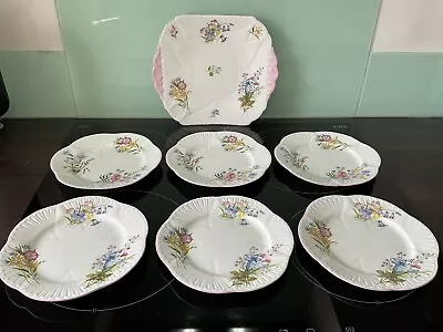 Buy Shelley Dainty Wild Flowers Pink Cake Plate & Six Side Plates - 13668 • 50£