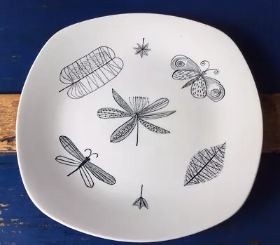 Buy Rare Find Terence Conran Midwinter Nature Study DINNER Plate 26 Cm • 27.99£