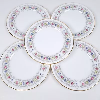 Buy Duchess Albany Tea Side Plates 16.5cm Vintage Floral Bone China England Set Of 6 • 24£