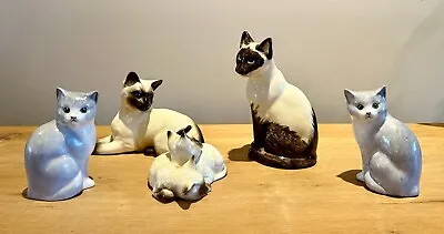 Buy Five Super Cats. Doulton, Just Cats & Friends & Brian Lownds-Pateman Babbacombe • 3.20£