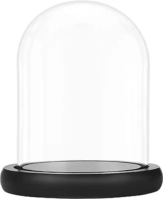 Buy Belle Vous Glass Dome Cloche Bell Jar W/ Black Wooden Base 19.5cm -Display Case • 22.49£