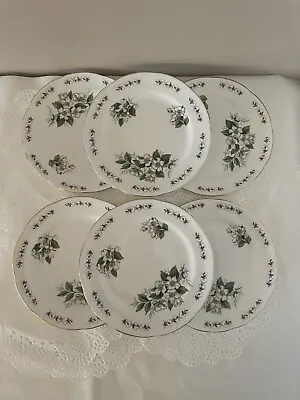 Buy 6 Adderley Simplicity Fine Bone China Dessert/ Side Floral Plates 6.25” Diameter • 23.99£