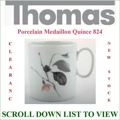 Buy Thomas China Medaillon Quince 824 Tableware - BNIB - Original Made In Germany • 6.05£