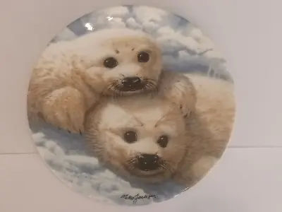 Buy Royal Grafton Fine Bone China Collectors Plate   Baby Seals   By Mike Jackson.. • 3.82£