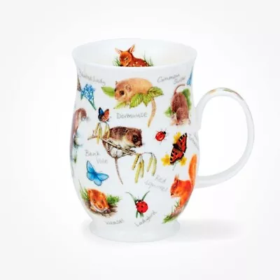 Buy Dunoon Mugs Suffolk Animal Life Shrew (Red Squirrel) Made In England • 25.95£