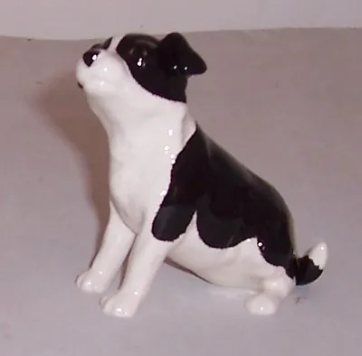 Buy John Beswick Border Collie Puppy JBD68 • 19.75£