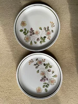 Buy Autumn Leaves Marks & Spencer Tableware - Two Dinner Plates (27cm) • 12.99£