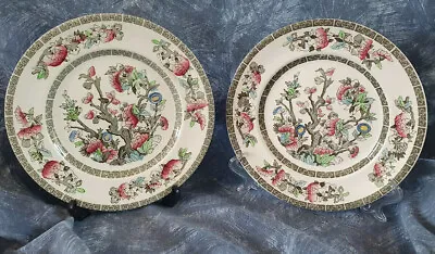 Buy Johnson Brothers —staffordshire— Indian Tree — Regal Shape — 2— Luncheon Plates • 15.50£