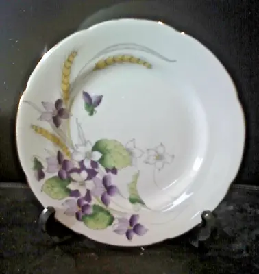 Buy Violets, Royal Grafton Fine Bone China, England, Tea Plate 6,5 Inch Excellent • 2.99£