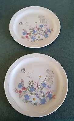 Buy Poole Pottery Springtime Set Of 2 Lunch/small Dinner Plates Stoneware  • 10.99£