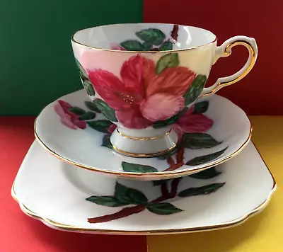 Buy Vintage Tuscan China Tea Trio, Teacup, Saucer & Tea Plate  Red Hibiscus  🌺🌺🌺 • 17.95£