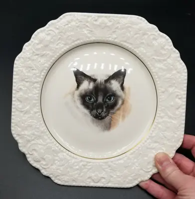 Buy Vintage Siamese Cat Decorative Plate Lord Nelson Pottery England • 12.30£