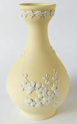 Buy Wedgwood Jasperware Primrose  Vase Prunus • 135£