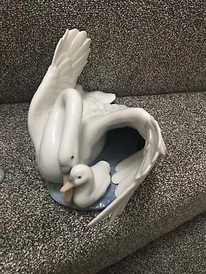Buy Lladro Nao Figurine 1358 - The Little Swan • 75£