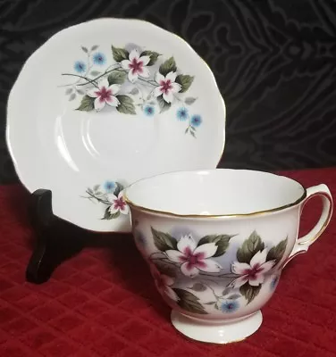 Buy Royal Vale English Bone China Tea Cup & Saucer Set, Pattern 8172  • 23.74£