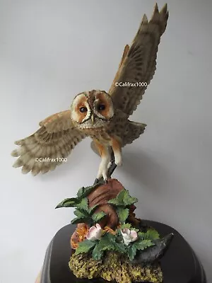 Buy Country Artists- Owls- Tawny Owl In Flight With Glove, Nettles And Buttercups • 33£