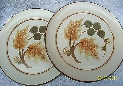 Buy  Denby.TWO  Langley .Cotswold. Dinner Plates. Set B . • 18£