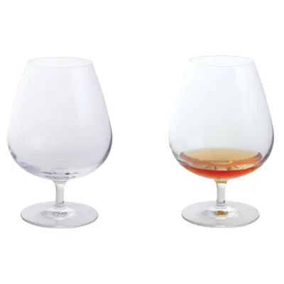 Buy Dartington Brandy Glasses Wine & Bar Collection 2 Pack Capacity 610ml Boxed • 21.49£