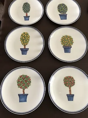 Buy Vintage 6 Royal Vale English China Plates Fruit Flower Tree In Blue Pots • 20£