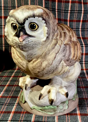 Buy Boehm Porcelain Rare Fledgling Great Horned Owl #479 Trenton, NJ 1965-70 EUC • 260.80£