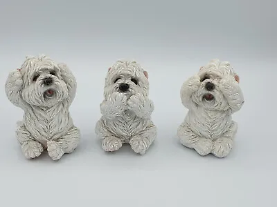 Buy Three Wise Westies See Hear Speak No Evil Statue Ornaments West Highland Terrier • 19.94£
