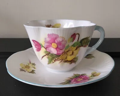Buy Vintage SHELLEY Fine Bone China ‘Begonia’ Tea Cup And Saucer • 22.99£