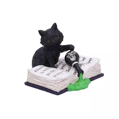 Buy Nemesis Now Figurine Mischievous Feline Black Cat Wiccan Hand-Painted Ornament • 12.99£