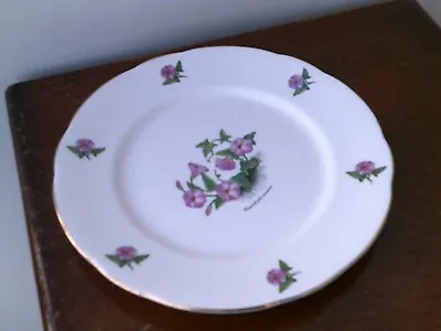 Buy Vintage Duchess (Convolvulus Arvensis Pattern) Fine Bone China Salad Plate With  • 3.99£