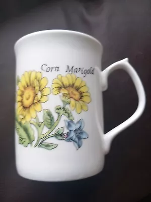 Buy Vintage Mug Cup Floral Corn Marigold “duchess” Fine Bone China White. New Unused • 5£
