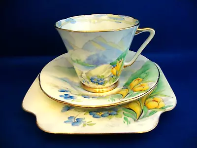 Buy Grafton Bone China Tea Cup, Saucer, Side Plate Trio - Snowdonia Pattern No. 5596 • 19.95£