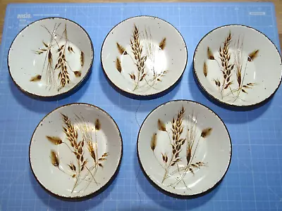 Buy 5 X MIDWINTER STONEHENGE VINTAGE WILD OATS 6.5  BOWLS IN VGC • 21.99£