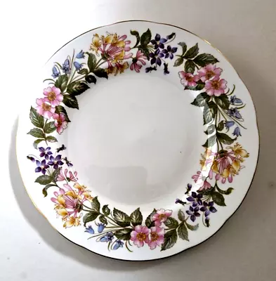 Buy Set Of Six Paragon China Salad Plates In The  Country Lane  Pattern - 20.5 Cm • 25£