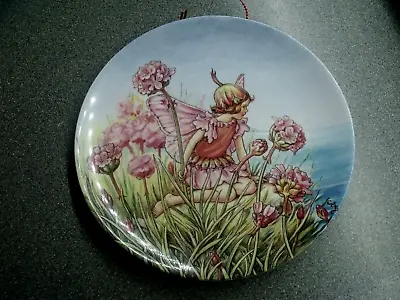 Buy Wedgewood The Thrift Fairy Plate Enchanting World Of Fairies 1994 C.m Barker • 3.99£