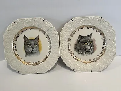 Buy Pair Of Vintage Lord Nelson Pottery England Kitty Cats Octagon Plates 8.5  • 26.09£