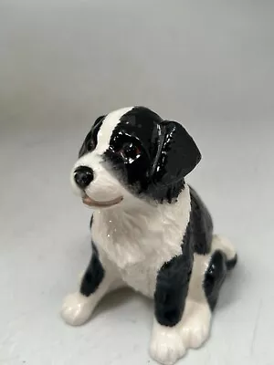Buy John Beswick Black & White Border Collie Dog Small Figure Ornament  3   #LH • 4.74£
