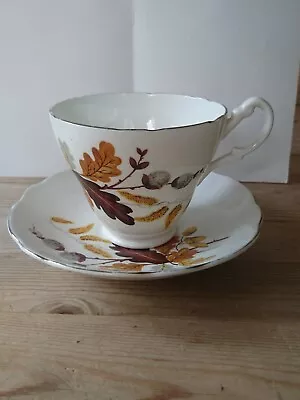 Buy Vintage Oak Leaf Autumn Design  Argyle Bone China Tea Cup And Saucer  • 6£