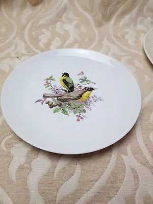Buy A. K. Kaiser Green Yellow Bird Design Decorative Plate • 4£
