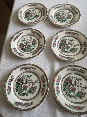 Buy Lord Nelson Pottery, Indian Tree, 6 Plates 20 Cm • 5£