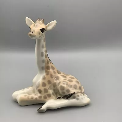 Buy Lomonosov USSR Porcelain Figurine, Animal Giraffe Calf Sitting 14cm Tall • 40£