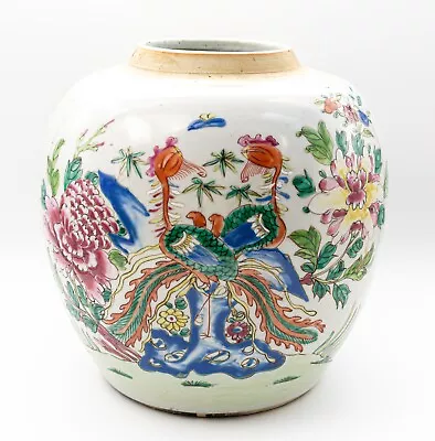 Buy Chinese Porcelain Famille Rose Phoenix Ginger Jar Vase Late Qing 19th Century • 250£