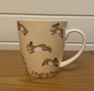 Buy Queens By Churchill ‘A Fluffle Of Bunnies’ Fine China Mug Cup • 7£