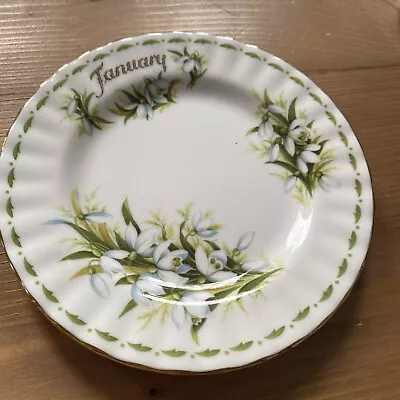 Buy Royal Albert Flower Of The Month January Snowdrops-  Tea Plate - 16cm • 5£