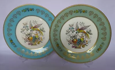 Buy Two Aynsley 'bird Of Paradise' Decorative Plates. 27cm / 10 & 3/4  Free UK Post • 20£