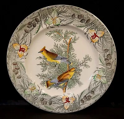 Buy The Birds Of America Adams China Cedar Wax Ring Dinner Decorative Plate • 75.90£
