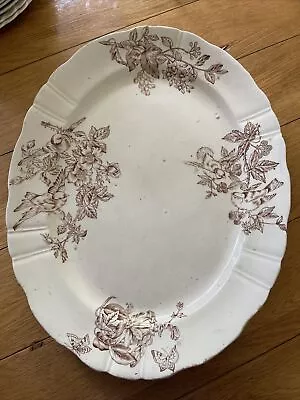Buy Large Pottery Platter - Brown Decorations With Birds  • 4.50£