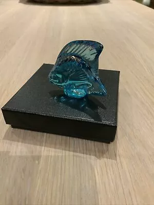 Buy Lalique Crystal Fish Sculpture Colour TURQUOISE LUSTRE 10205600 BRAND NEW BOXED • 64£