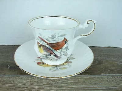 Buy Queen's Fine Bone China -  Made In England - Tea Cup And Saucer BIRDS OF AMERICA • 14.09£