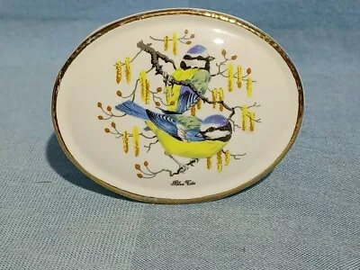 Buy Vintage Szeiler Studio England Small Posy Vase Decorated With Blue Tits • 1.95£